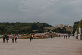 Vienna