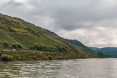 The Rhine