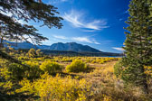The Sierras